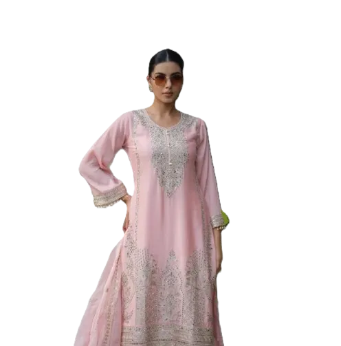 Ladies Wear - Young girl in traditional Indian attire